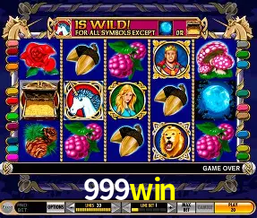Descubra o Mundo do Cassino Online com 999win